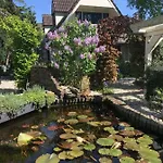 Cosy & Natural Cottage With Fireplace And Garden Holiday home Heinenoord